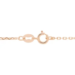 Chaîne Igoa Maille Forçat Diamantee Or Rose
