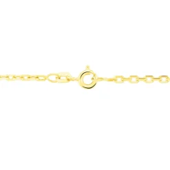 Chaîne Igoa Maille Forçat Diamantee Or Jaune