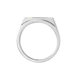 Chevalière Jourdan Lord Acier Bicolore Diamant