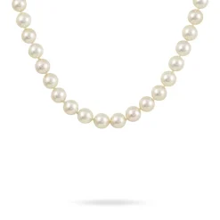 Marc Orian Colliers|Colliers Avec Pierres > Collier Ghisele Or Jaune Perle De Culture D'akoya