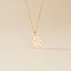 Collier Iago Plaqué Or Oxydes De Zirconium