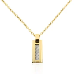 Collier Phebus Him Classique Acier Jaune