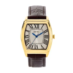 Montre Arctik Globe Argenté
