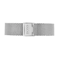 Montre Boss Companion Gris