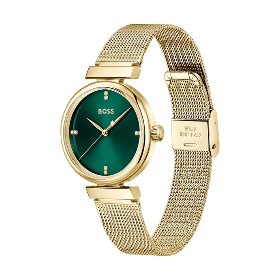 Montre Boss Rosehill Vert
