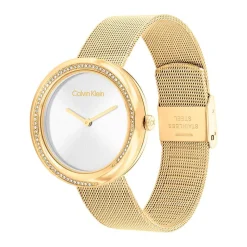 Montre Calvin Klein Twist Argenté