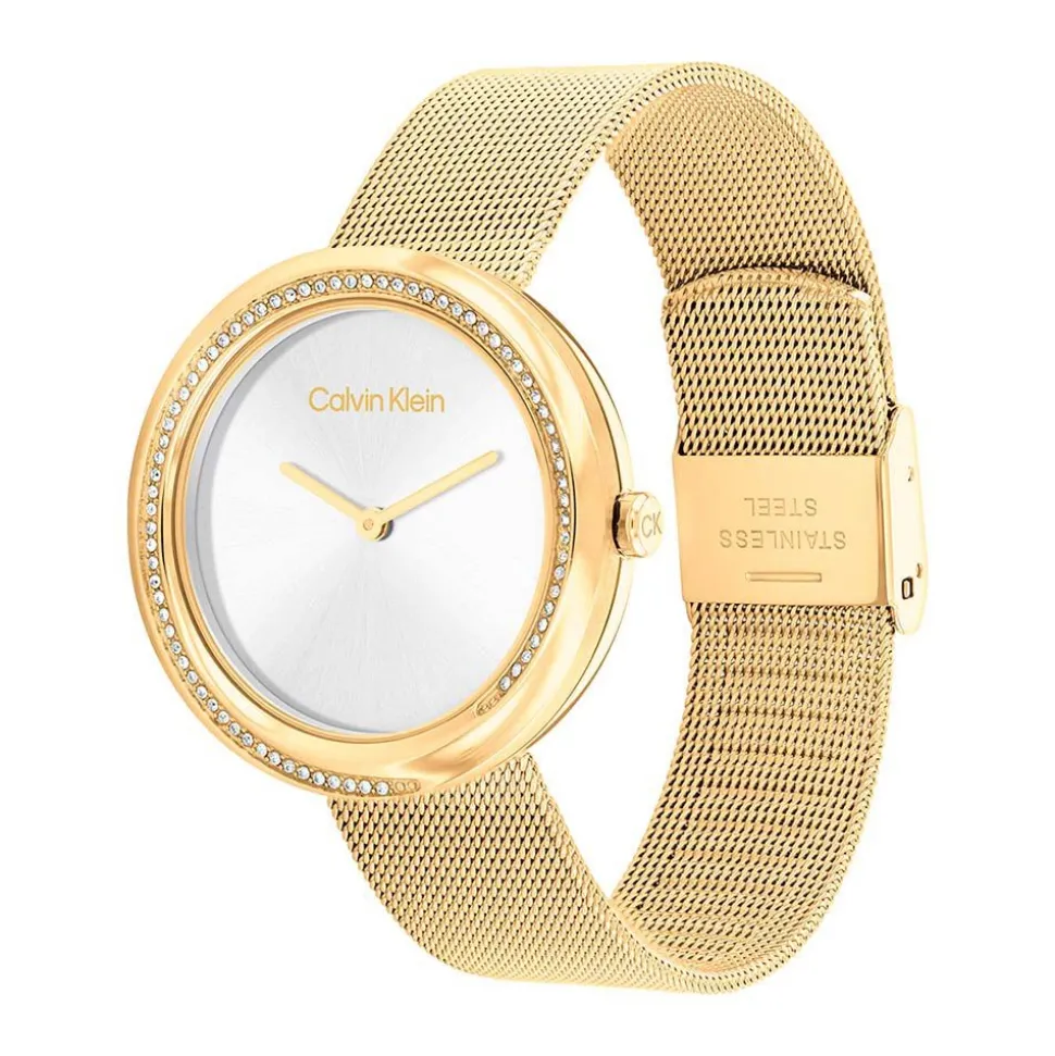 Montre Calvin Klein Twist Argenté