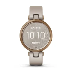 Montre Connectée Garmin Lily Active