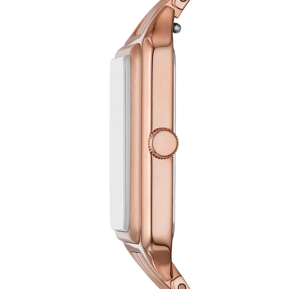 Montre Fossil Raquel Brun