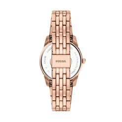 Montre Fossil Scarlette Gris