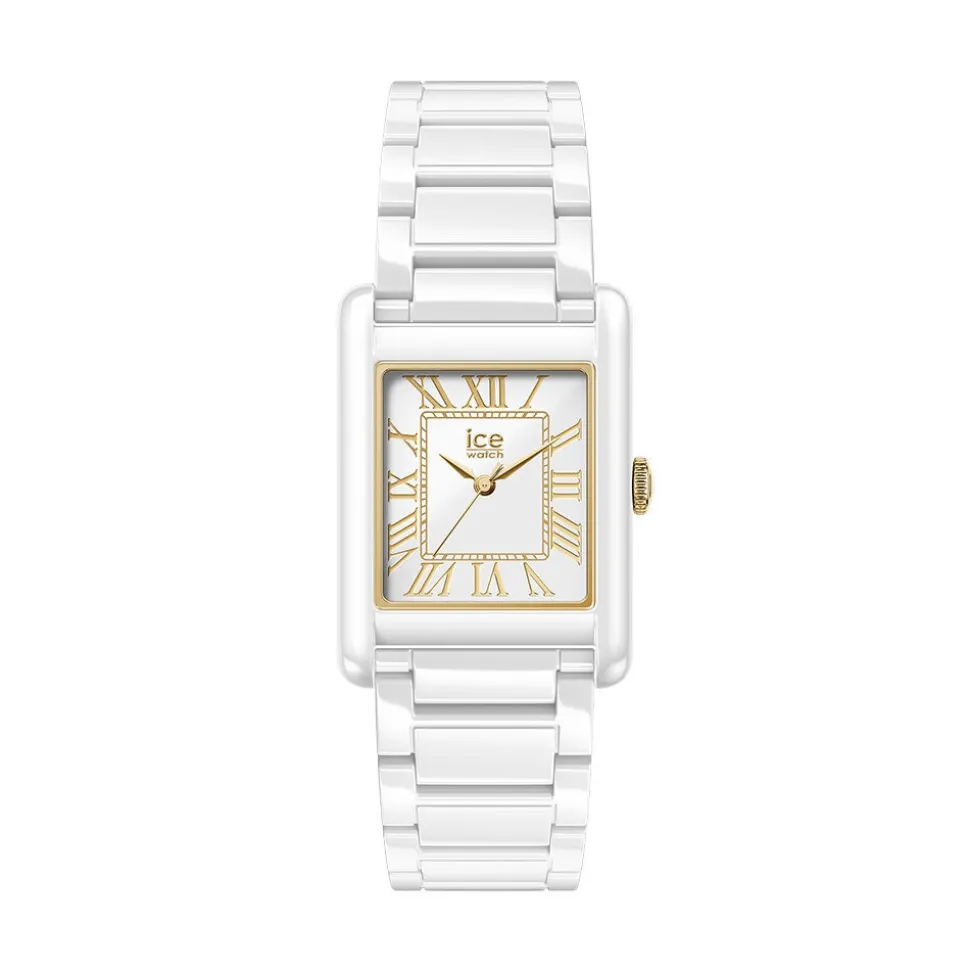 Montre Ice Watch Power Pw6