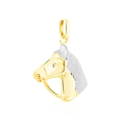 Marc Orian Pendentifs|Bijoux Homme > Pendentif Hillel Cheval Or Bicolore