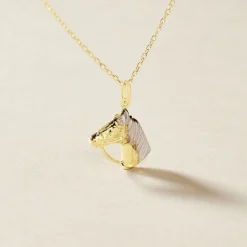 Marc Orian Pendentifs|Bijoux Homme > Pendentif Hillel Cheval Or Bicolore