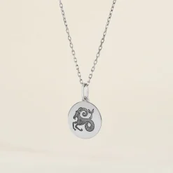 Pendentif Zodiaque Rond Argent Blanc