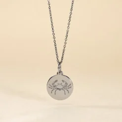 Pendentif Zodiaque Rond Argent Blanc