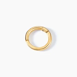 Piercing D'oreille Unitaire Aloes Or Jaune